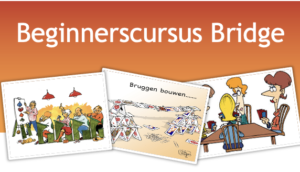 Beginnerscursus Bridge